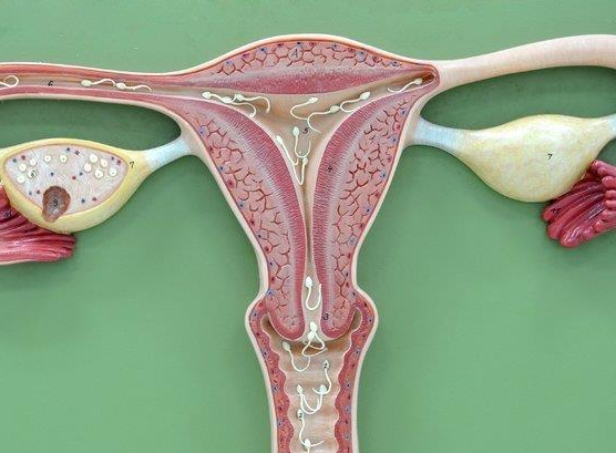 卵巢过度刺激适合移植冻胚