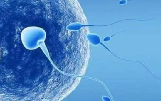 精子库的精子可以做人工受精