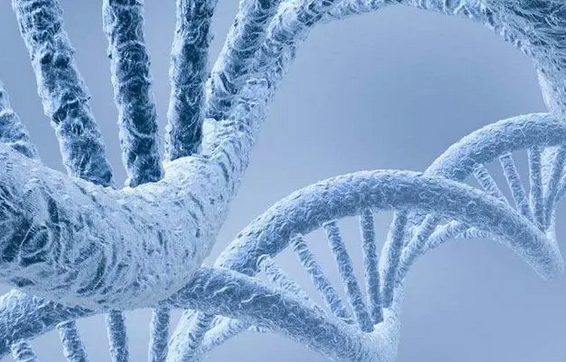 无创DNA筛查是分子学筛查